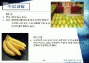 호텔내의 과일유통과정 29페이지