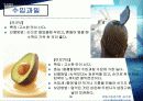 호텔내의 과일유통과정 30페이지