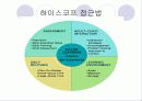 구성주의 유아교육 17페이지