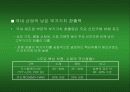 [경제학]고유가가 국내산업에 미치는 영향 및 대응 전략 38페이지