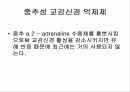 혈압강하제(고혈압) 8페이지