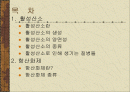 활성산소 황산화제 2페이지
