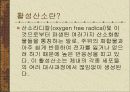 활성산소 황산화제 3페이지