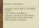활성산소 황산화제 11페이지