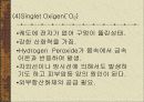 활성산소 황산화제 12페이지