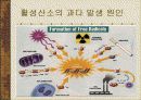 활성산소 황산화제 13페이지