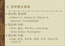 활성산소 황산화제 19페이지