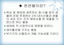 천연물 화학 진통제 3페이지