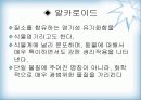 천연물 화학 진통제 4페이지