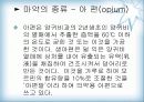 천연물 화학 진통제 8페이지