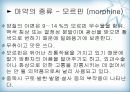 천연물 화학 진통제 9페이지