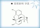 천연물 화학 진통제 10페이지