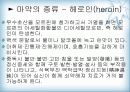천연물 화학 진통제 11페이지