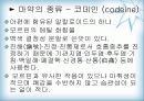 천연물 화학 진통제 13페이지