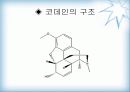 천연물 화학 진통제 14페이지
