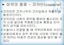천연물 화학 진통제 15페이지