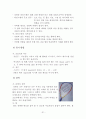 [여가론] 레저스포츠 현황및 실태파악 31페이지