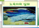 노숙자 실태 및 해결방안 6페이지