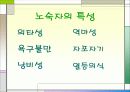 노숙자 실태 및 해결방안 10페이지