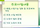 노숙자 실태 및 해결방안 13페이지