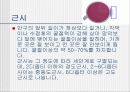 시력 교정-눈 2페이지