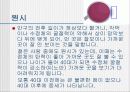 시력 교정-눈 4페이지