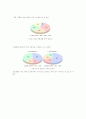 하이트의 맥주시장 성공전략 12페이지