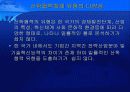 지역혁신체제의 이론적 논의 26페이지