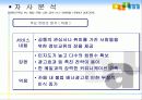 다음의 사례 분석 및 전략 제안 19페이지