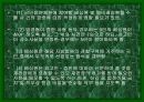 소송절차의 기본이론 13페이지