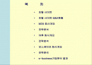 야후,msn,네스케이프 전략 비교분석 2페이지