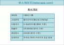 야후,msn,네스케이프 전략 비교분석 11페이지