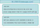 야후,msn,네스케이프 전략 비교분석 13페이지