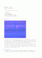 Ligation of DNA(예비&결과레포트) 6페이지