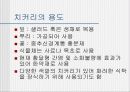 치커리-종류 용도 작용 4페이지
