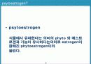 식물성 에스트로겐(isoflavone)-아이소플라본 3페이지