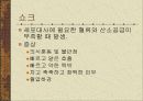 응급간호-응급처치 14페이지