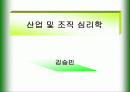 산업 및 조직 심리학 1페이지