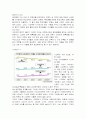 조기유학 - 실효성에 대한 제고 7페이지