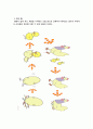 학급 경영 계획- 나의 학급 상세 계획 3페이지