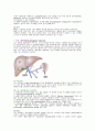 간성혼수(Hepatic encephalopathy)문헌고찰 및 간호 3페이지