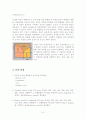 Melting Point 측정으로 공융점 결정과 Phase diagram 작성 8페이지