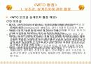 WTO에 따른 산업피해구제 및 분쟁해결절차 11페이지