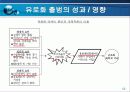 유로화의 출범과 그 영향 12페이지