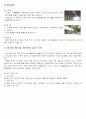 중․저준위 방사성 폐기물과 처리법 5페이지