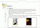 실내디자인(Interior) 조명 실무 조사 10페이지