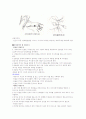 활력징후 (체온,맥박,혈압) 6페이지