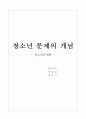 청소년문제의 개념 1페이지