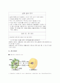 식물세포의 관찰 4페이지