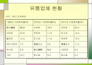 이마트와 킴스클럽에 다이아몬드 모델 분석 2페이지